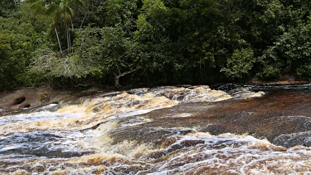 Corredeiras do Urubuí, em Presidente Figueiredo, com água escura correndo sobre lajes de pedra e mata fechada na margem