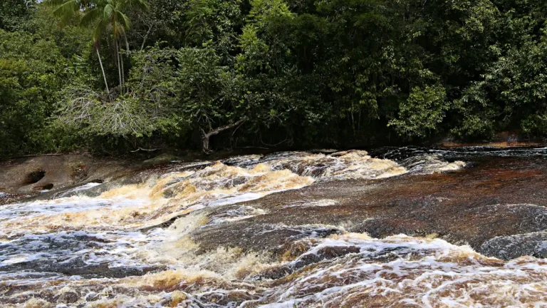 Corredeiras do Urubuí, em Presidente Figueiredo, com água escura correndo sobre lajes de pedra e mata fechada na margem