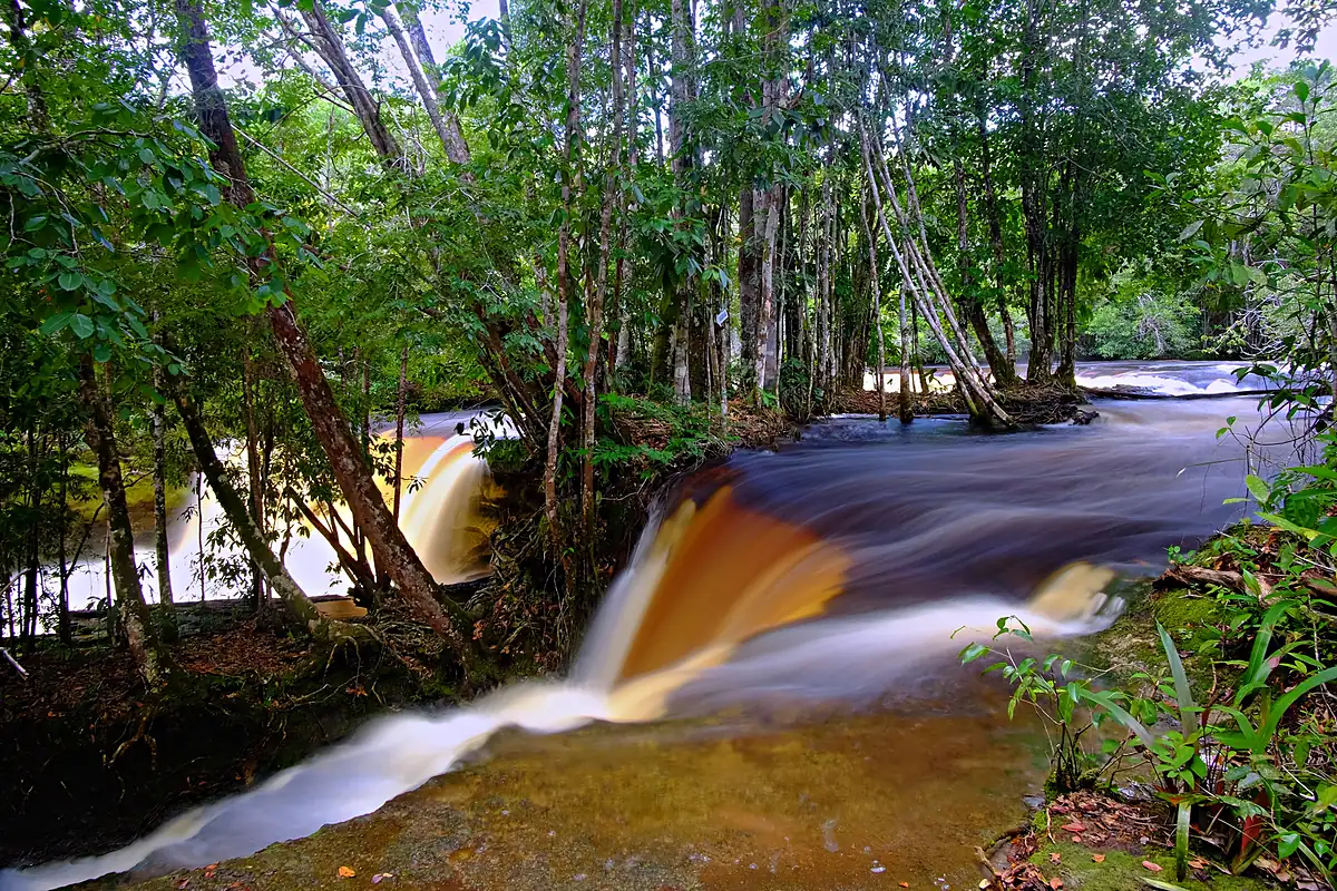 Cachoeira das Araras, em Presidente Figueiredo, com a água caindo forte entre árvores altas da mata