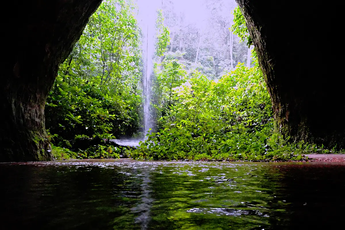 Vista de dentro da Caverna do Maroaga, em Presidente Figueiredo, com a boca da gruta emoldurando uma queda d'água fina, mata e um poço escuro em primeiro plano
