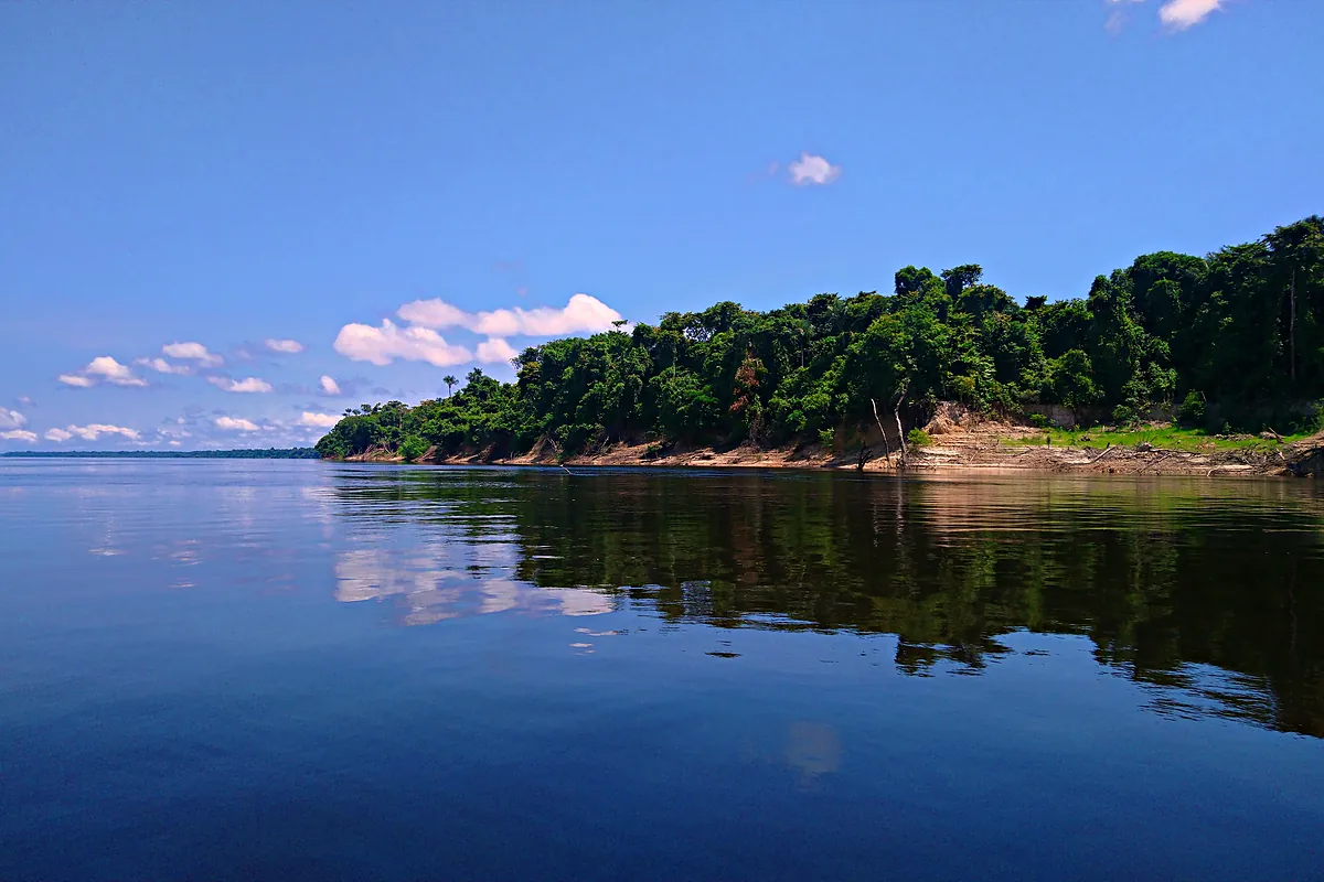 Ilha do Parque Nacional de Anavilhanas no rio Negro em outubro, com mata refletida na água e barranco de areia exposto pela vazante