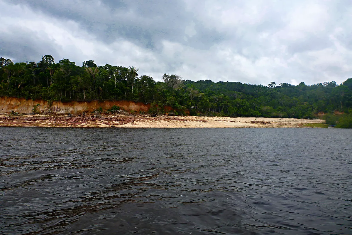 Praia do Tupé, no rio Negro, com faixa de areia clara ao pé de um barranco e floresta em cima, sob céu nublado