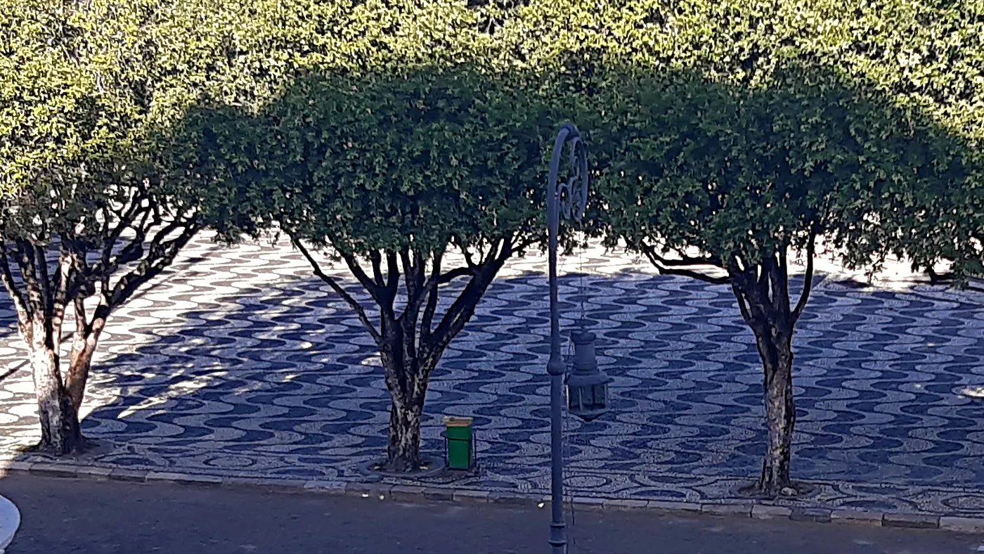 Calçamento de pedras pretas e brancas em ondas do Largo de São Sebastião, visto do alto da escadaria do Teatro Amazonas, com árvores de copa larga, um poste de ferro e a sombra das árvores em dia de sol